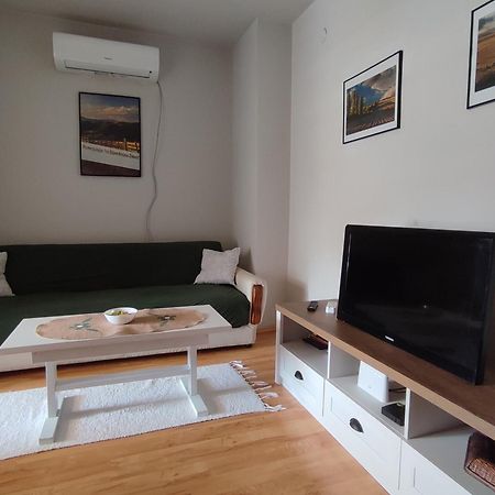 Vila Zora Apartman Banja Koviljaca Ngoại thất bức ảnh