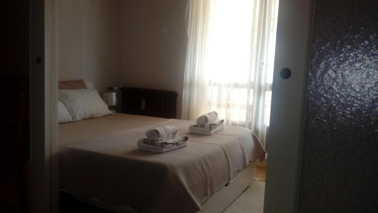 Vila Zora Apartman Banja Koviljaca Ngoại thất bức ảnh