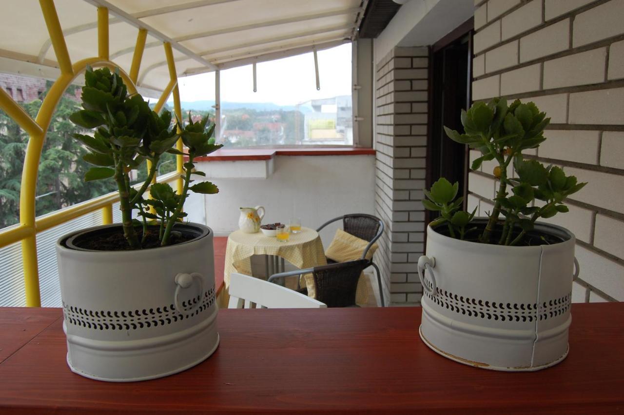 Vila Zora Apartman Banja Koviljaca Ngoại thất bức ảnh