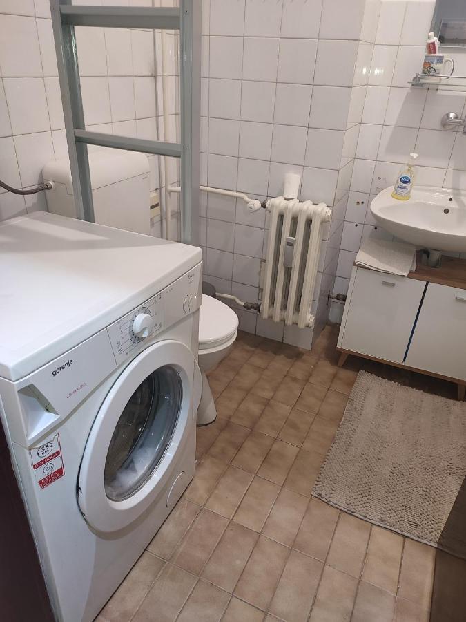 Vila Zora Apartman Banja Koviljaca Ngoại thất bức ảnh