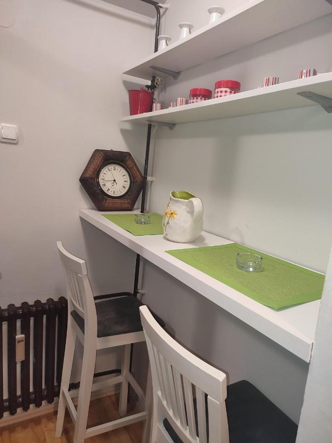 Vila Zora Apartman Banja Koviljaca Ngoại thất bức ảnh