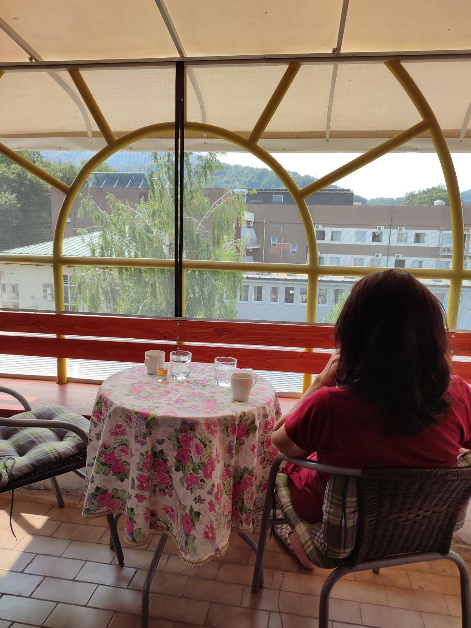 Vila Zora Apartman Banja Koviljaca Ngoại thất bức ảnh